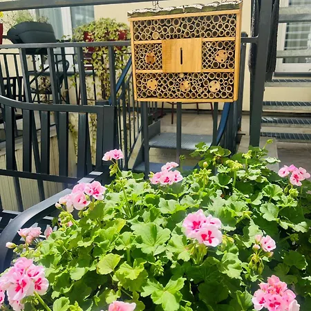 Western Seine West ピュトー